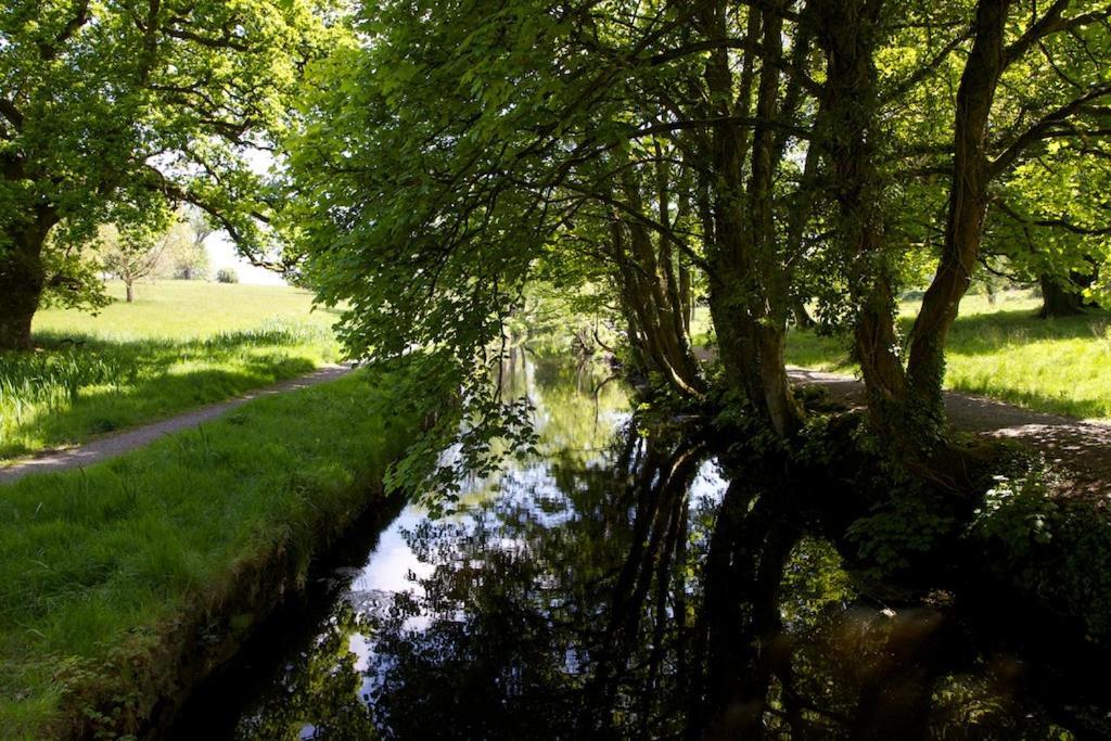 Tully'S Hotel Castlerea المظهر الخارجي الصورة